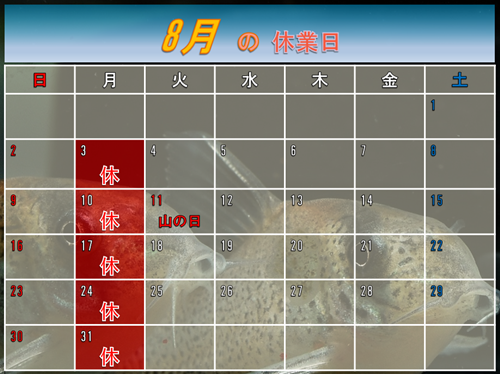 8月のカレンダー